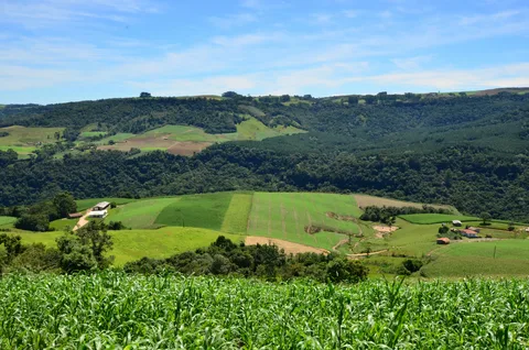 Key Things Every Buyer Must Know About Agricultural Land in Tijara