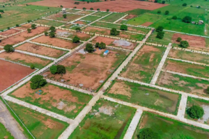 Plots in Tijara