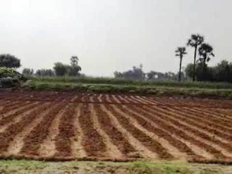 Agricultural land in Tijara