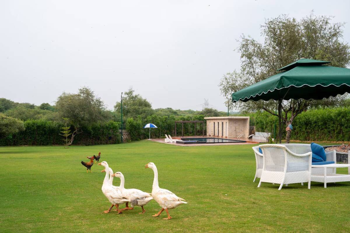 naugaon2