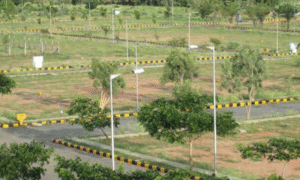 Ananda Agri Farm Naugaon