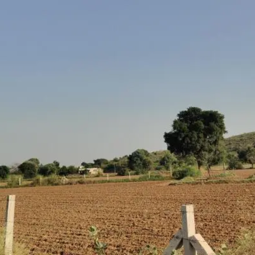Plots in Tijara