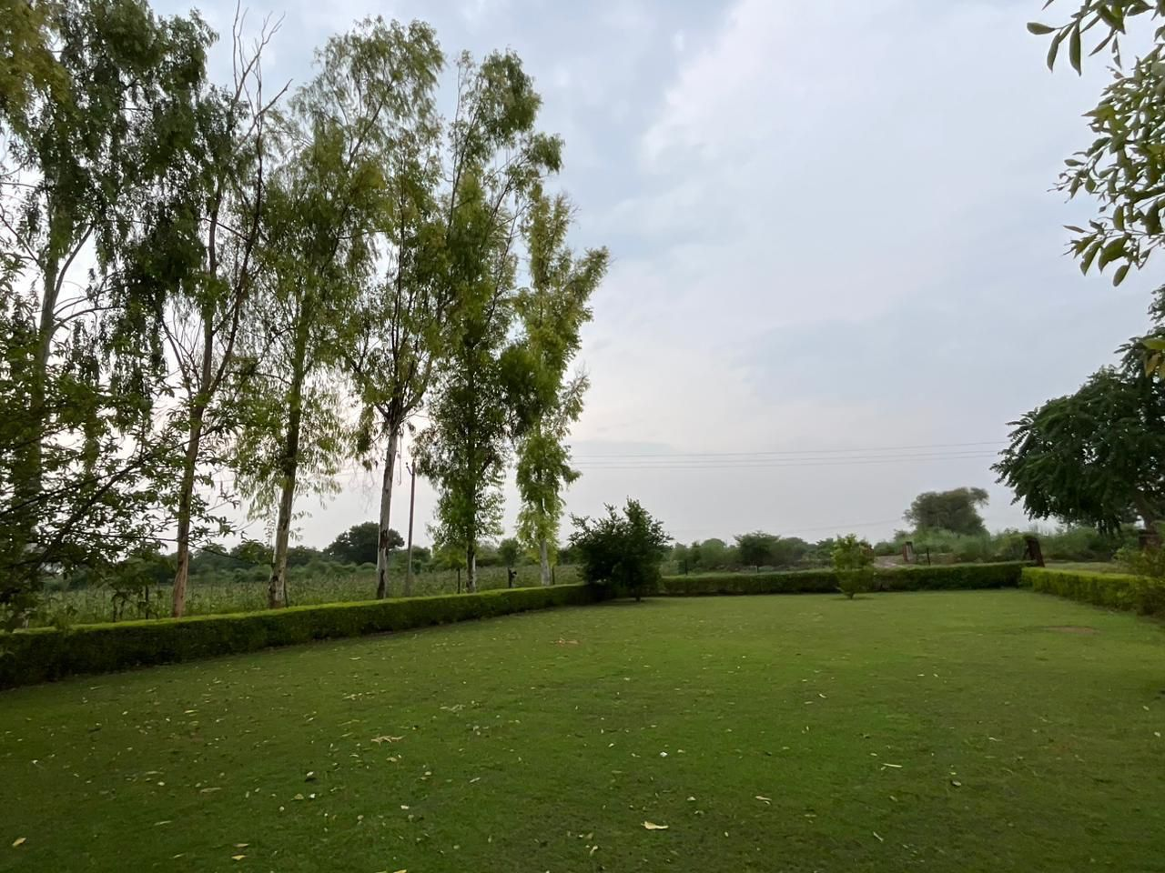 Plots in Tijara 